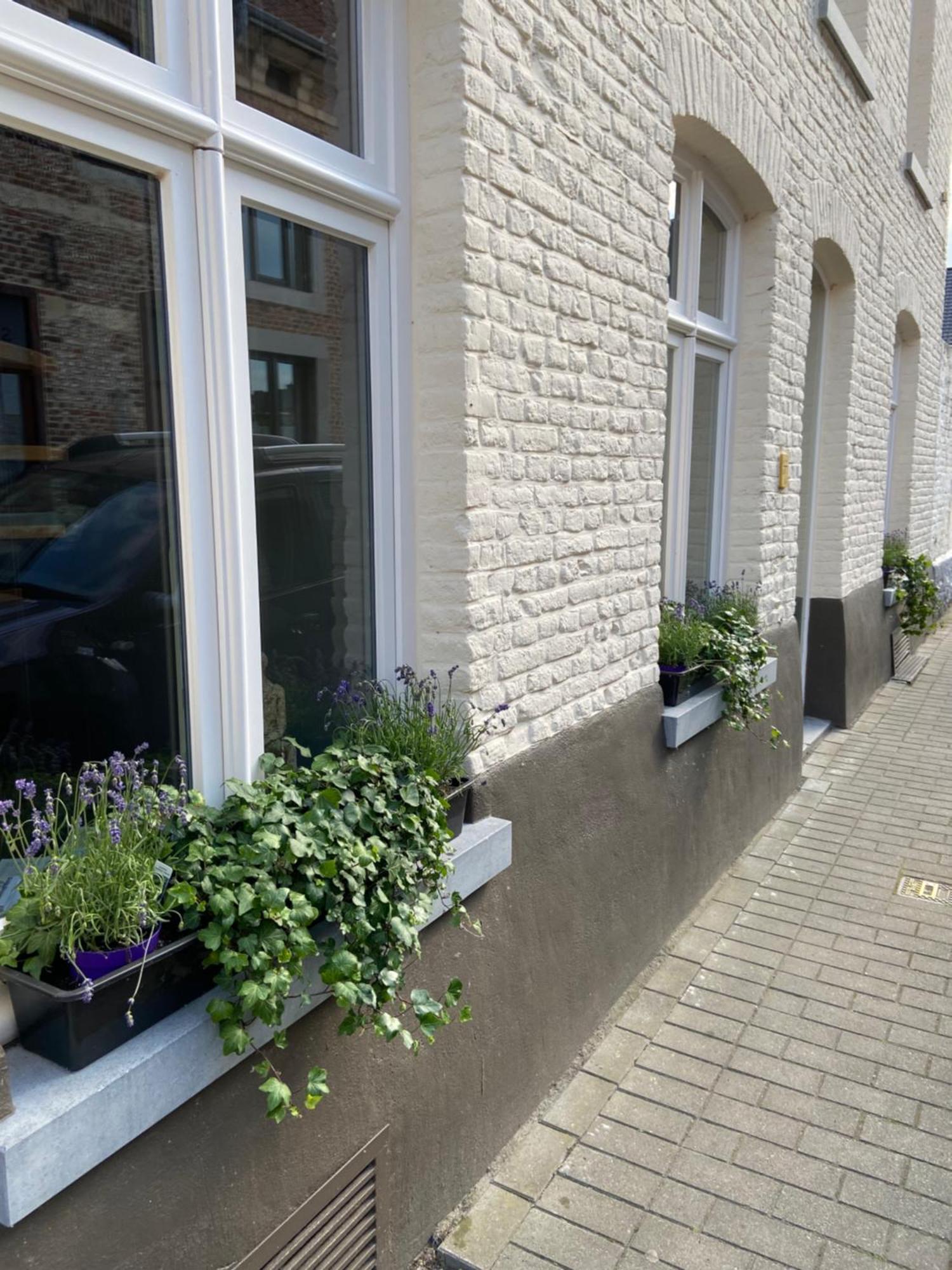 Begijnhofstudio'S Tongres Extérieur photo